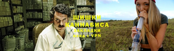 сатива Горнозаводск