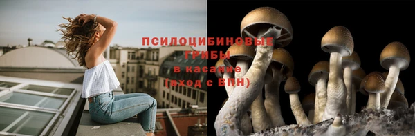 прущий лед Горняк